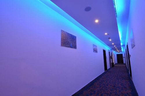 Rozaio Hotel image 29